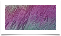Purple Haze - Jimi Hendrix - Richard Nicholls